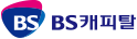 금융기관 로고 19 bs 캐피탈